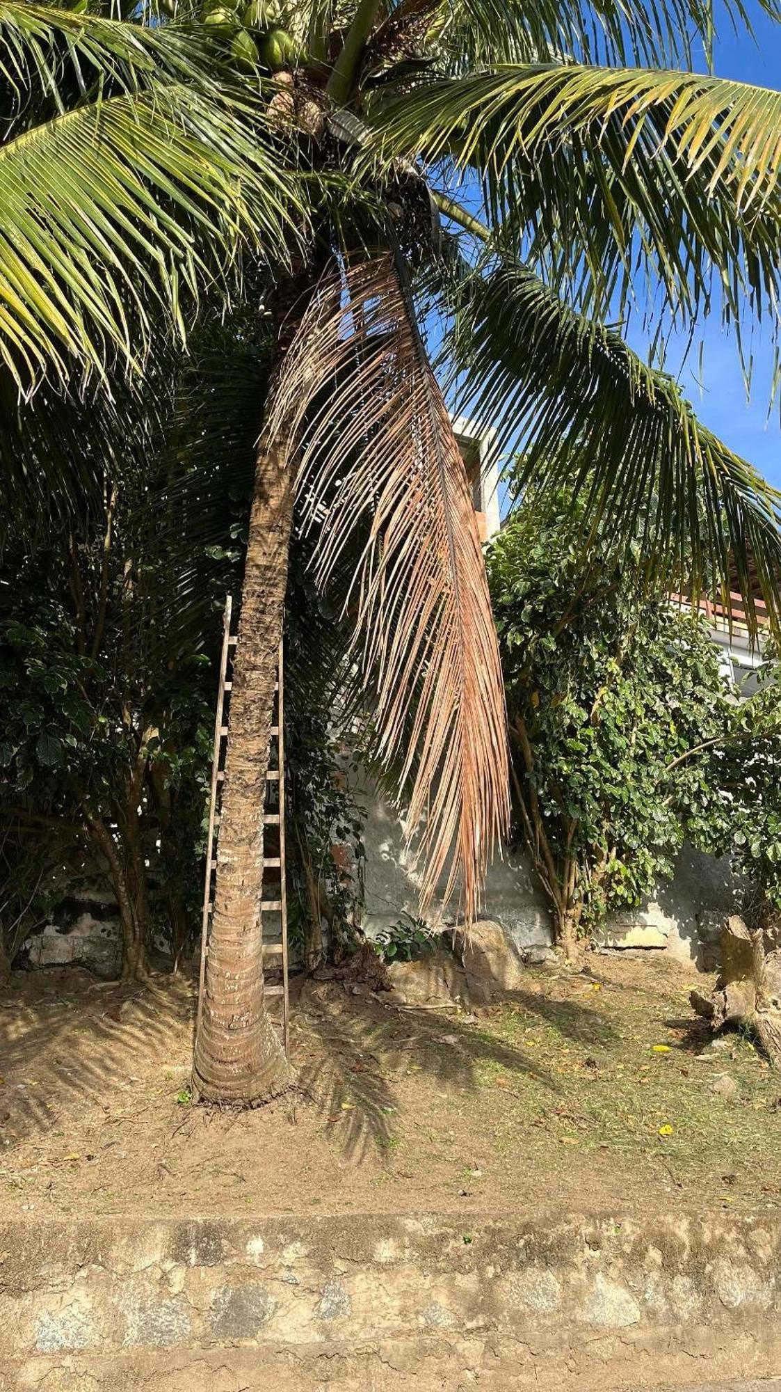 Escape O Paraiso, Casa Mobiliada Com Piscina E Salao De Jogos, 300mt Da Сasa de vacaciones Arraial do Cabo